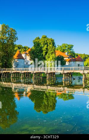 Schloss Otocec und Holzbrücke am Fluss Krka in Slowenien, beliebtes Touristenziel Stockfoto