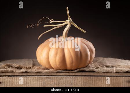 Ganzer Muscade De Provence Kürbis, Der Auf Sackleinen Über Rustikaler Holzkiste Vor Dunklem Hintergrund Ruht Stockfoto