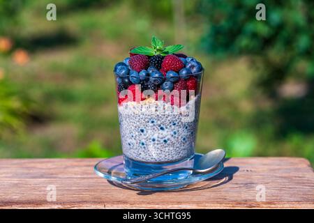 Gesunder Chia Pudding in einem Glas mit frischen Beeren auf Naturhintergrund, Nahaufnahme, Kopierraum. Chiasamen in Kokosnussmilch mit Himbeeren, Blaubeere Stockfoto