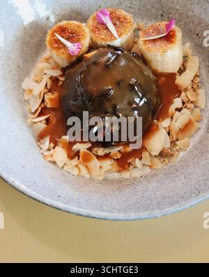 Gourmet-Dessert in einer gesprenkelten grauen Schüssel. In der Mitte befindet sich eine große Eiskugel, die großzügig mit einer glänzenden Schokolade bedeckt ist Stockfoto