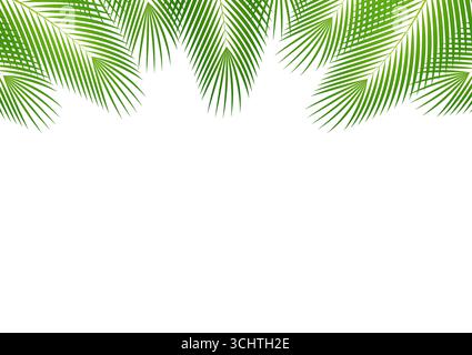 Kokosnussblätter oder grüne Palmenblätter. Hintergrund Für Den Sommer. Vektorillustration isoliert auf weißem Hintergrund. Stock Vektor