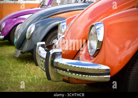 Nahaufnahme einer Reihe von klassischen Volkswagen-Käfern in leuchtenden Farben, die auf einer Autoshow im Freien auf einem grasbewachsenen Feld gezeigt werden Stockfoto