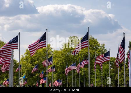 Blick auf eine große Gruppe amerikanischer Flaggen auf Pfählen, die an einem sonnigen Tag im Wind wehen Stockfoto