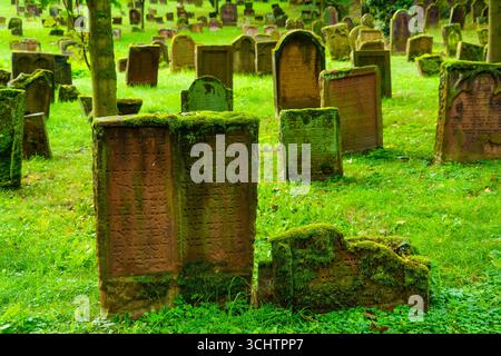 Worms, Deutschland - 09. Oktober 2024: Blick auf den Jüdischen Friedhof Heiliger Sand in Worms, Rheinland-Pfalz Stockfoto