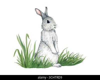 Aquarelldarstellung von Hasen im Gras. Waldtiere isoliert auf weißem Hintergrund. Illustration eines niedlichen Kaninchens im Gras für Kinder Design Stockfoto
