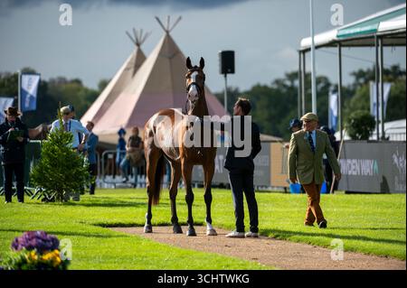 Stamford, Großbritannien. September 2025. Joseph Murphy und Belline Fighting Spirit vertraten Irland bei der First Horse Inspection bei den Defender Burghley Horse Trials 2025 auf dem Gelände des Burghley House in Stamford, Lincolnshire, England. Jonathan Clarke / Alamy Live News Stockfoto