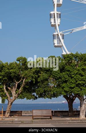 Bank, Bäume und Riesenrad am Ufer, Milazzo, Sizilien, Italien Stockfoto