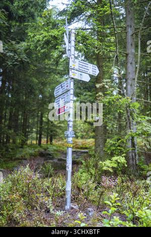 Ein Wegweiser mit mehreren Schildern steht in einem dichten Wald zur Orientierung, Mummelsee, Seebach, Ortenau, Schwarzwald, Deutschland Stockfoto
