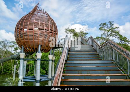 Blick auf einen einzigartigen, erhöhten Holzsteg mit einem bauchigen Aussichtsturm schlängelt sich durch das üppige Grün unter einem Himmel, Singapur, Singapur. Stockfoto