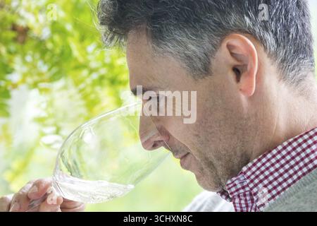 Weinprobe mit dem Eigentümer Jose, Casa de Sezim, dem Weingut Grande Escolha in der Region Minho, dem Garten Portugals, Nespereira, dem Bezirk Braga Stockfoto