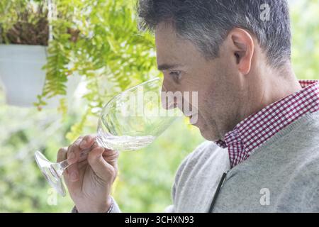 Weinprobe mit dem Eigentümer Jose, Casa de Sezim, dem Weingut Grande Escolha in der Region Minho, dem Garten Portugals, Nespereira, dem Bezirk Braga Stockfoto