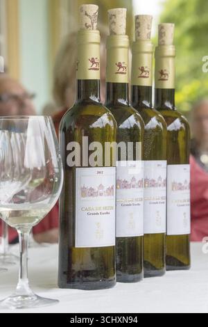 Weinprobe mit dem Eigentümer Jose, Casa de Sezim, dem Weingut Grande Escolha in der Region Minho, dem Garten Portugals, Nespereira, dem Bezirk Braga Stockfoto