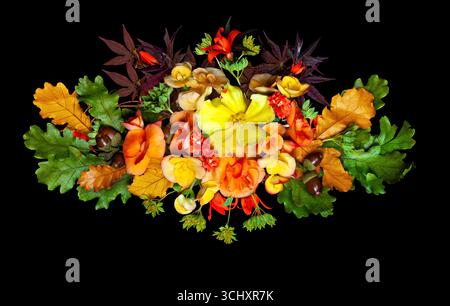 Herbstblumenarrangement auf schwarzem Hintergrund Stockfoto