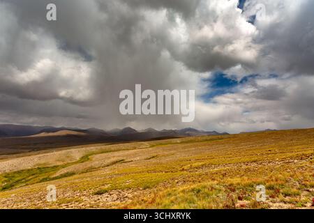 Blick auf eine riesige, goldene Wiese unter einem dramatischen Himmel voller wirbelnder, dunkler Wolken, die mit blauen Flecken kontrastieren, Deosai Nationalpark, Gilgit Ba Stockfoto