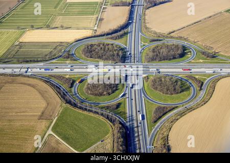Luftaufnahme, Autobahnkreuz Werl der A44 und A445 Kleeblatt-Form, Werl, Soester-Boerde, Nordrhein-Westfalen, Deutschland, mo Stockfoto