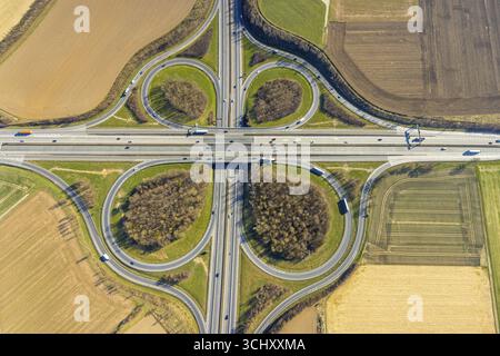 Luftaufnahme, Autobahnkreuz Werl der A44 und A445 Kleeblatt-Form, Werl, Soester-Boerde, Nordrhein-Westfalen, Deutschland, mo Stockfoto