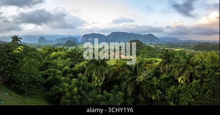 Panorama Valle de Los Ingenios, Aussichtspunkt Mirador mit Fernglas, Kuba, Pinar del Rio, Kuba Stockfoto