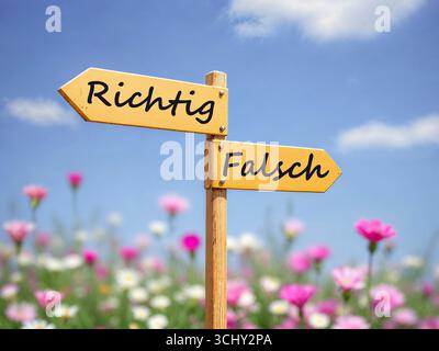 Wegweiser auf einer Blumenwiese in verschiedene Richtungen: Richtig oder falsch, komponieren, Deutschland Stockfoto