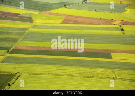 Landwirtschaft, Felder östlich von Danzig, Feldmuster, PrAeâ„¢gowo AuA'awskie, Ostseeküste, Pomorskie, Polen, Pregowo Zulawskie, PL, Europa, Aeria Stockfoto