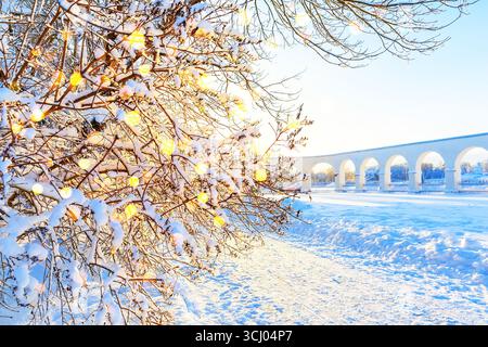 Schneebedeckte Baumzweige im Winterwald und Urlaubsblendung von Girlanden. Weihnachten Winter verschwommener Hintergrund mit Girlanden Lichtern. Stockfoto