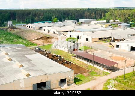 Blick von oben auf eine moderne Kuhfarm in einem Laubwald Stockfoto