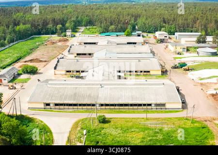 Blick von oben auf eine moderne Kuhfarm in einem Laubwald Stockfoto