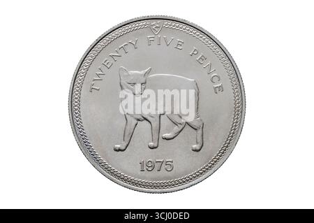 Isle of man Twenty Five Pence Stockfoto