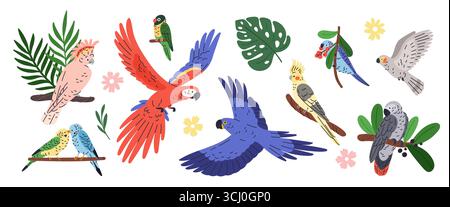 Papageientypen. Exotische tropische Vögel, verschiedene Posen, fliegen und sitzen, buntes Gefieder, wildes Leben, lustige Haustiere auf Ästen, Ara, Kakadu Stock Vektor