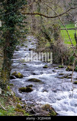 Landschaft rund um das Dorf Trascastro im Leitariegos-Tal in Asturien, Spanien Stockfoto