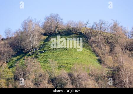 Landschaft rund um das Dorf Trascastro im Leitariegos-Tal in Asturien, Spanien Stockfoto
