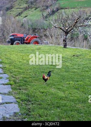 Landschaft rund um das Dorf Trascastro im Leitariegos-Tal in Asturien, Spanien Stockfoto