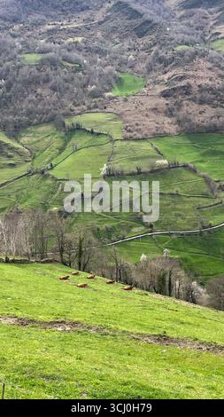 Landschaft rund um das Dorf Trascastro im Leitariegos-Tal in Asturien, Spanien Stockfoto