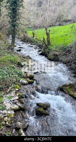 Landschaft rund um das Dorf Trascastro im Leitariegos-Tal in Asturien, Spanien Stockfoto