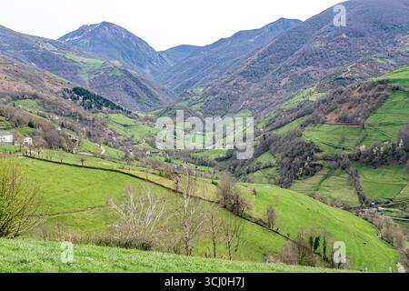 Landschaft rund um das Dorf Trascastro im Leitariegos-Tal in Asturien, Spanien Stockfoto