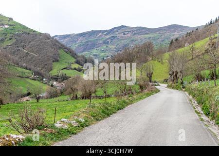 Landschaft rund um das Dorf Trascastro im Leitariegos-Tal in Asturien, Spanien Stockfoto