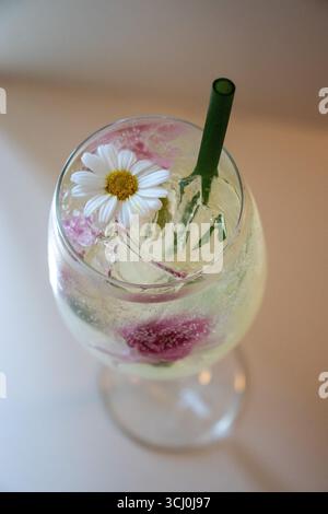 Erfrischender Cocktail oder Mocktail, serviert in einem Glas mit Stielstielen. Das klare, prickelnde Getränk wird mit einem schönen weißen Gänseblümchen garniert Stockfoto