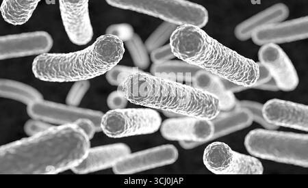 Bakterien unter dem Mikroskop. Bakterien unter dem Mikroskop. Pathogene, bakterielle Infektion, mikroskopische Darstellung, Mikrobiologie, Krankheit, ansteckend. Modell, 3D-Illustration science030s02 Bacterium Stockfoto