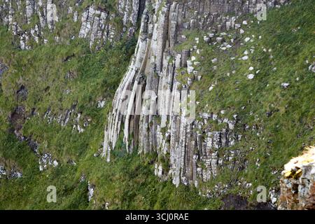 Hohe Basaltsäulen in der Klippe blicken auf den Giants Causeway, den OrgelCauseway Coastal Route County antrim Nordirland großbritannien Stockfoto