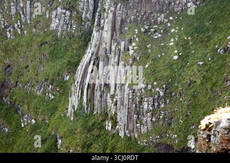 Hohe Basaltsäulen in der Klippe blicken auf den Giants Causeway, den OrgelCauseway Coastal Route County antrim Nordirland großbritannien Stockfoto