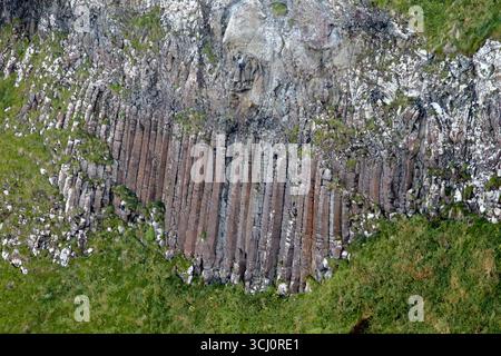 Hohe Basaltsäulen in der Klippe blicken auf den Giants Causeway, den OrgelCauseway Coastal Route County antrim Nordirland großbritannien Stockfoto