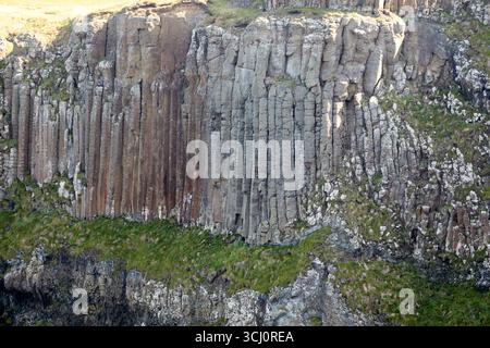 Hohe Basaltsäulen in der Klippe blicken auf den Giants Causeway, den OrgelCauseway Coastal Route County antrim Nordirland großbritannien Stockfoto