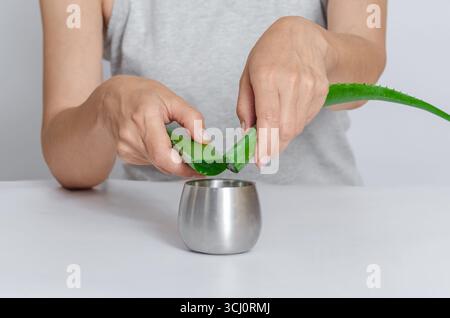 Zubereitung von Aloe Vera Saft. Unerkennbare Frau in grauem T-Shirt, die zwei frisch geschnittene Aloe-Blätter über dem Glas Gel auf weißem Tisch hält, Vorderansicht. Stockfoto