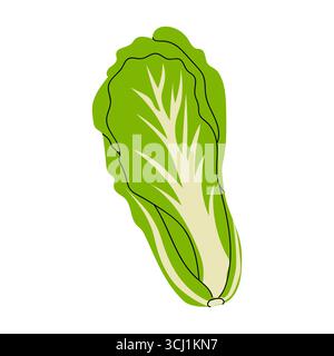 Vibrant romaine lettuce sits prominently against a white background, showcasing its crisp leaves and rich green color. Ideal for salads and healthy me Stock Vektor