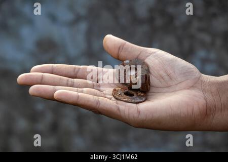 Nahaufnahme einer weiblichen Hand, die sehr alte und verrostete Metallmuttern und -Schrauben hält. Die runden, verwitterten Objekte sind mit einer schweren Rostschicht bedeckt, die sichtbar ist Stockfoto