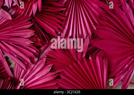Künstlerische Anordnung von leuchtend rosafarbenen Palmblättern auf einer Holzoberfläche, die einzigartige Texturen und Muster hervorhebt, ideal für tropische Dekorationen und Design-Einrichtungsgegenstände Stockfoto