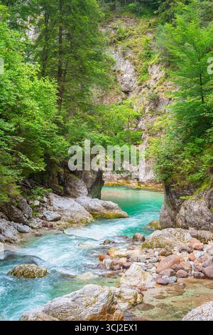Ruhiger Gebirgsbach, der im Sommer durch felsige Wälder und Landschaft fließt Stockfoto