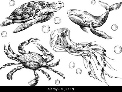 Handgezeichnete Strichgrafik-Illustration von Schildkröte, Krabbe, Wal und Quallen. Nautische Kollektion mit schwarzer Tinte und Blasen, perfekt für Clipart und Marine Stock Vektor