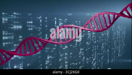 Pinkfarbene DNA-Doppelhelix über die virtuelle Datenmatrix mit leuchtenden Partikeln. Futuristisch, Biotechnologie, digital, wissenschaftlich, Innovation, Technologie, Stockfoto