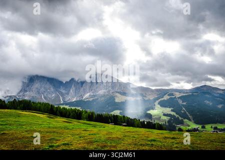 Ein Panoramablick auf die Seiser Alm, ein berühmtes Hochplateau in den Dolomiten Südtirols, Italien. Das Bild zeigt sanfte Wiesen, dichte Nadelbäume Stockfoto
