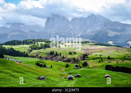 Eine atemberaubende Landschaftsaufnahme der Seiser Alm in Südtirol, Italien, mit dem ikonischen Profil der Langkofel-Berggruppe. Der Vorläufer Stockfoto
